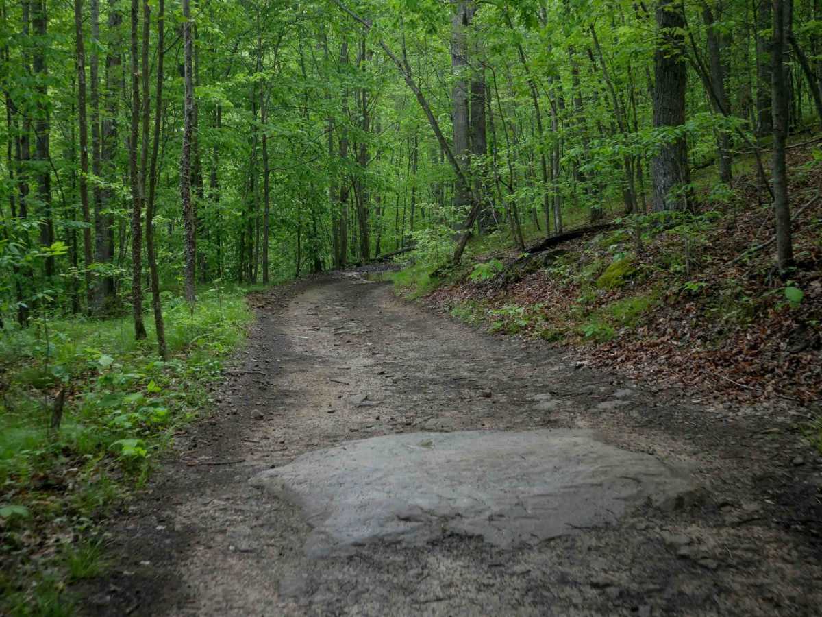 IB 37 trail photo
