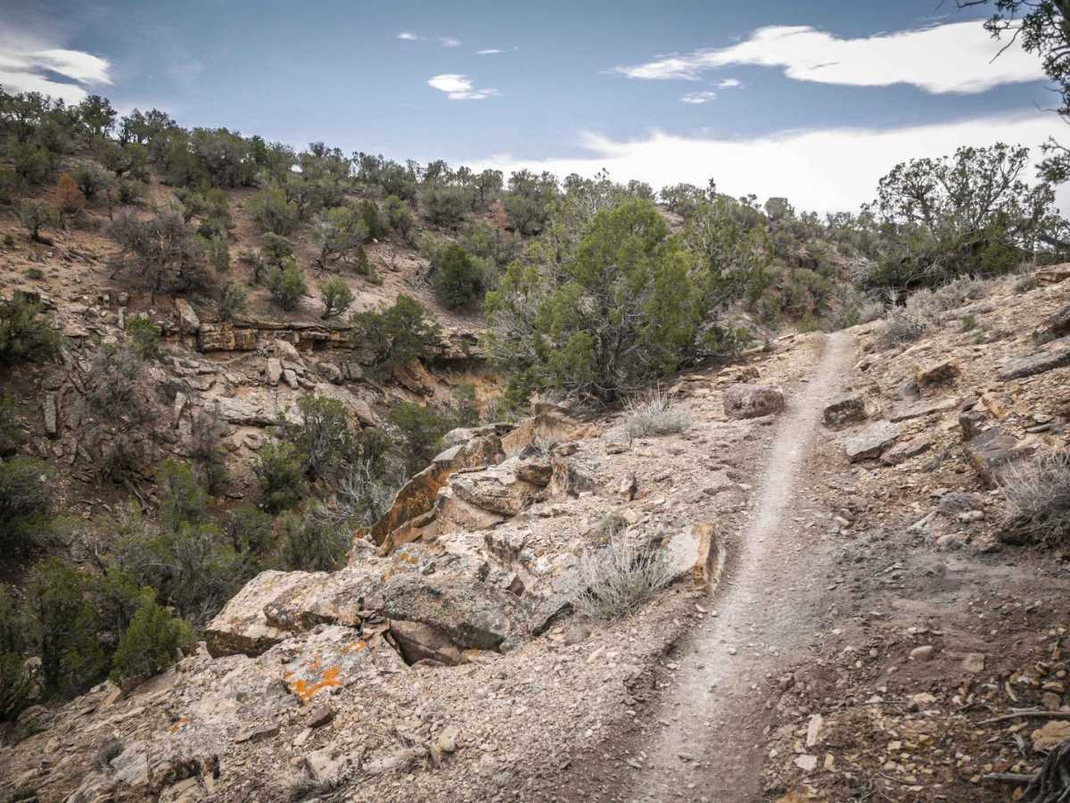 Black Ridge photo 6