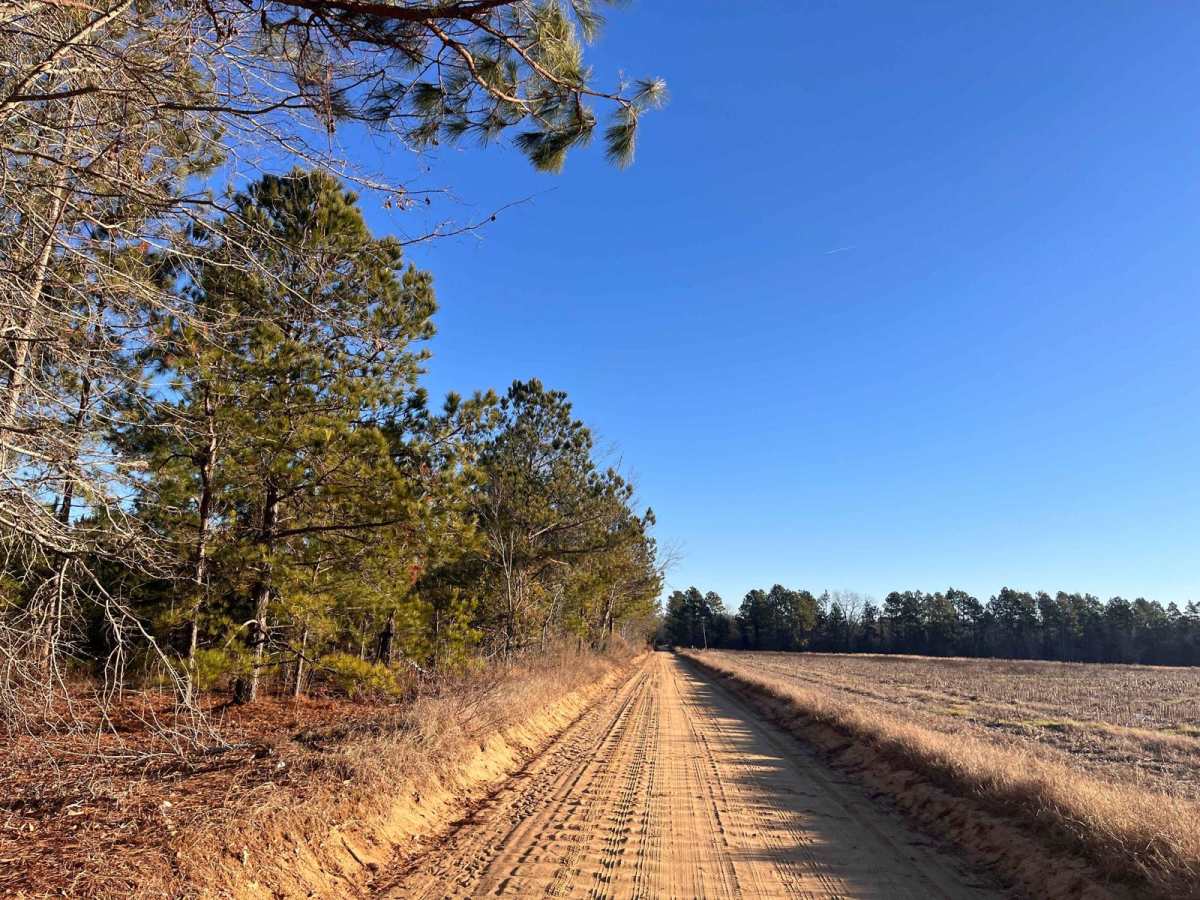 North Fork Road photo 4