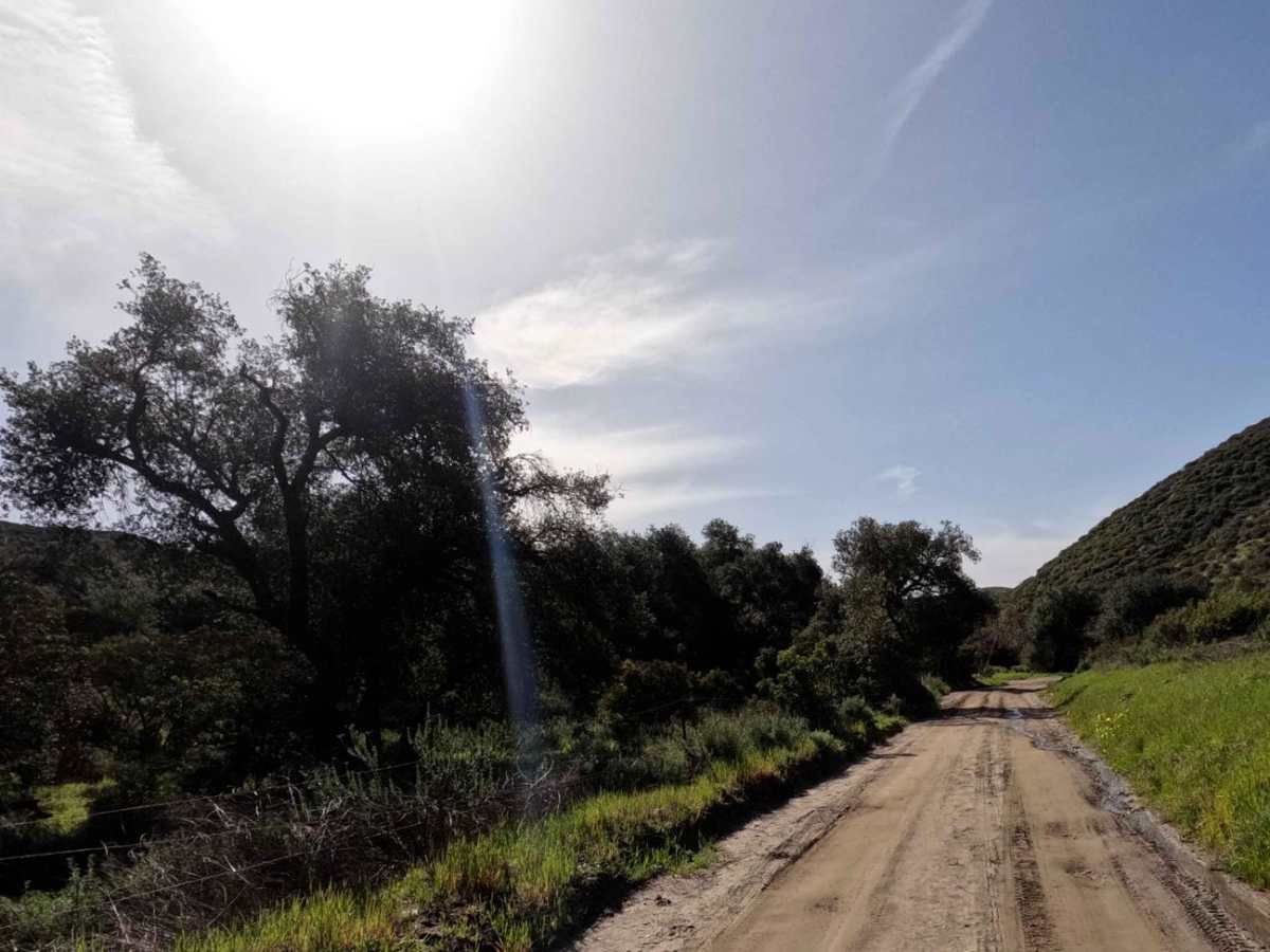 Otay Mountain Truck Trail (Lower Trail) trail photo