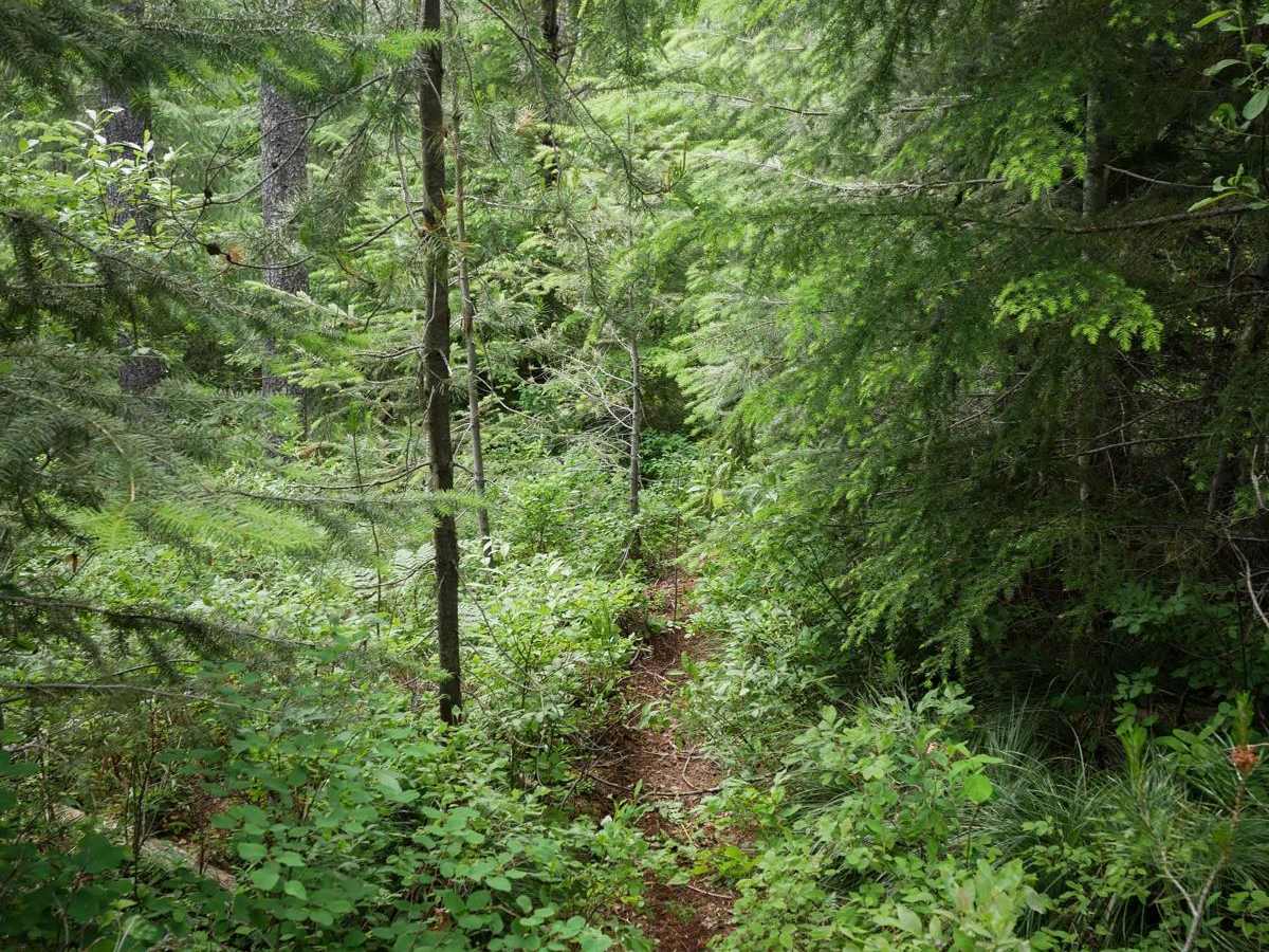 Mowat Creek photo 6