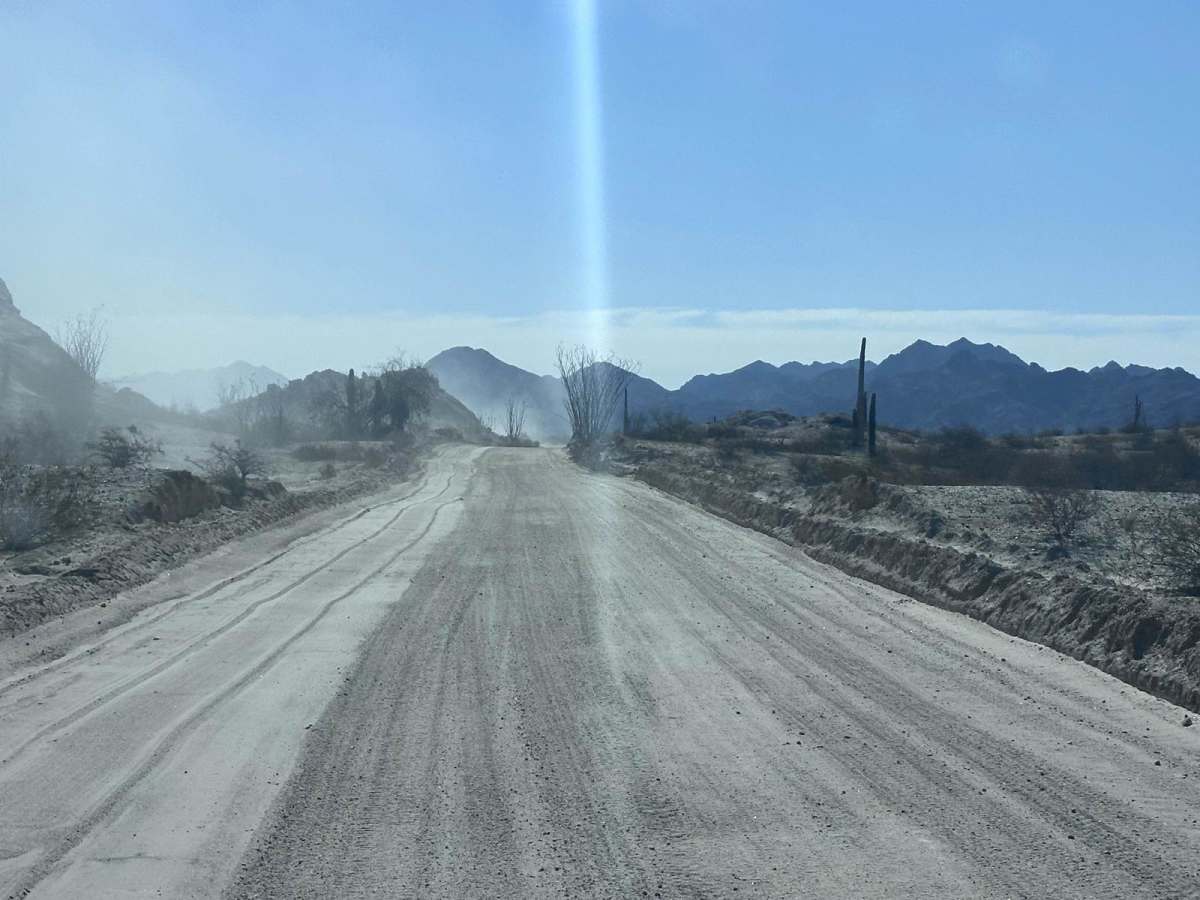 El Camino Del Diablo (Organ Pipe Cactus) photo 4