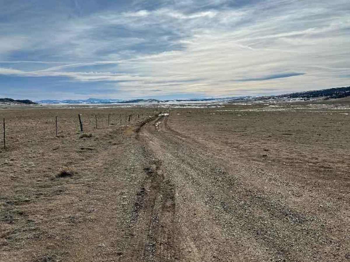 Meadow Drive/ James Mark Jones Wildlife Area photo 4