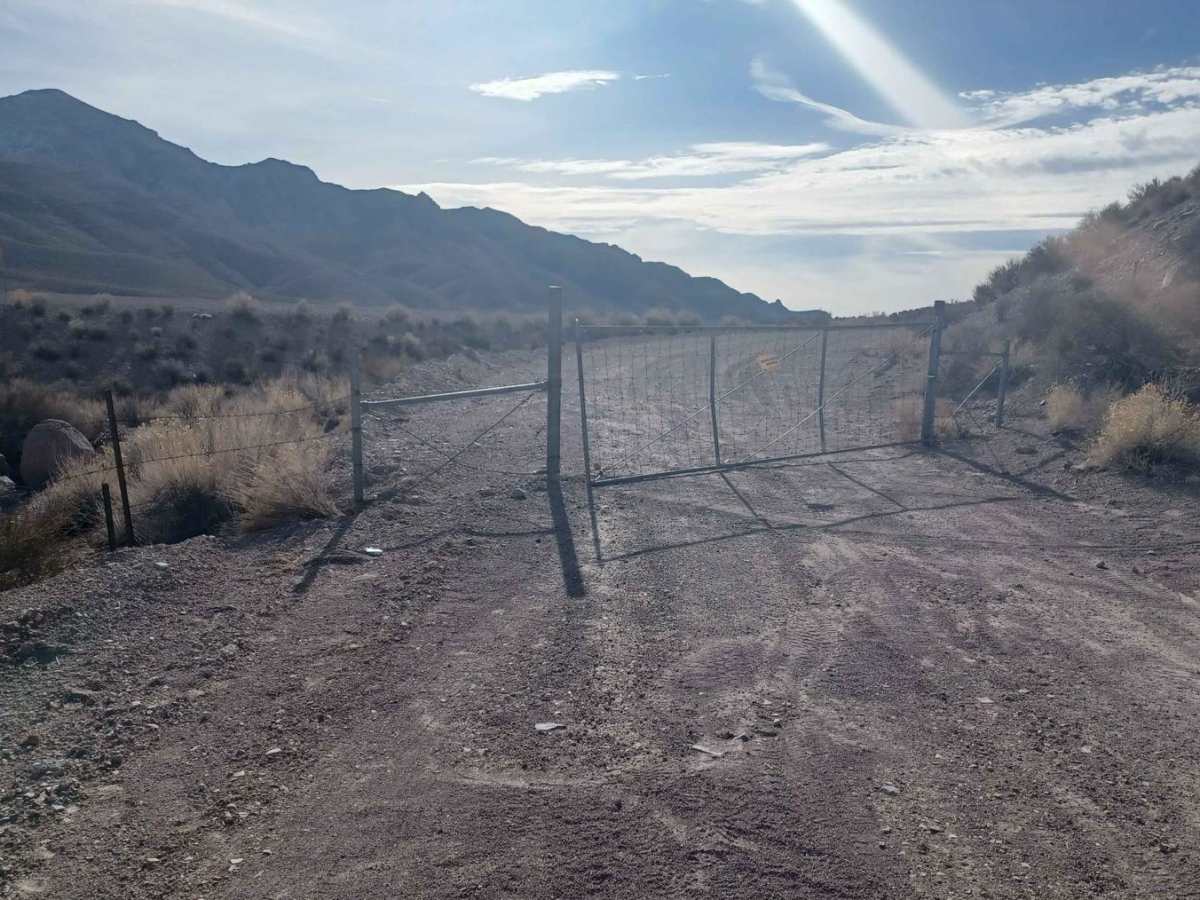Bird Springs Road photo 3