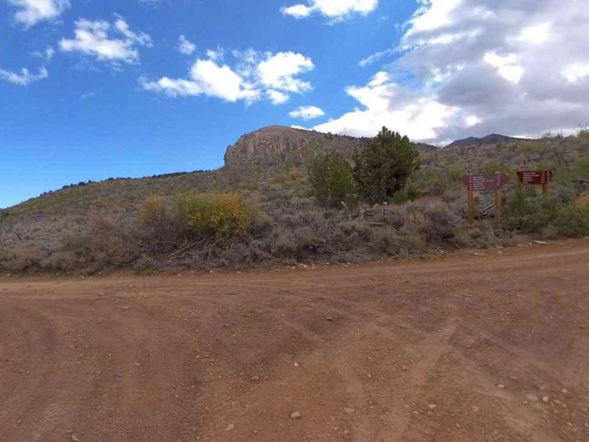 The Horn Road-BLM14000 photo 2