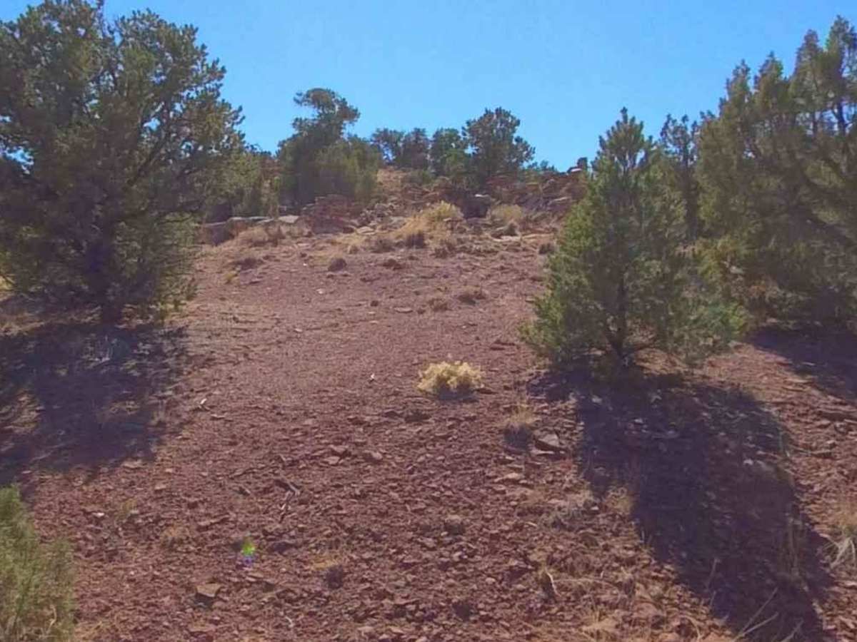 BLM D0153 - Farmhouse Ruins photo 6