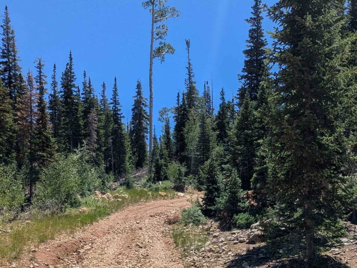 Lake View Loop photo 2