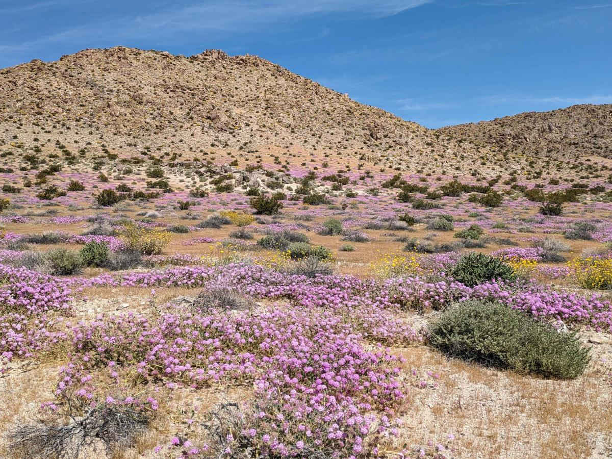 Searles Valley Mineral Operations to 178 trail photo