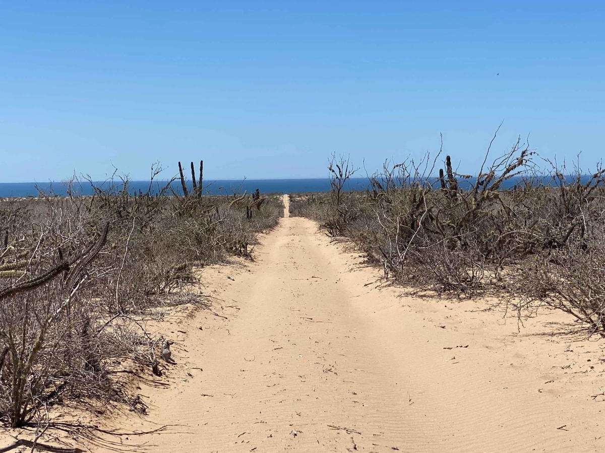 Middle Playa 1 trail photo
