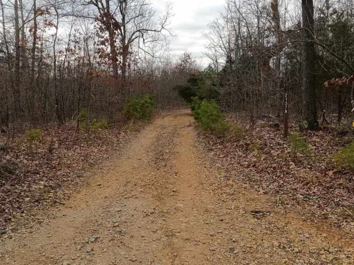 Pine Union Hilltop FSR 2137 photo 4