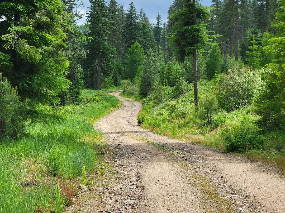 Lower Buck Mountain photo 6