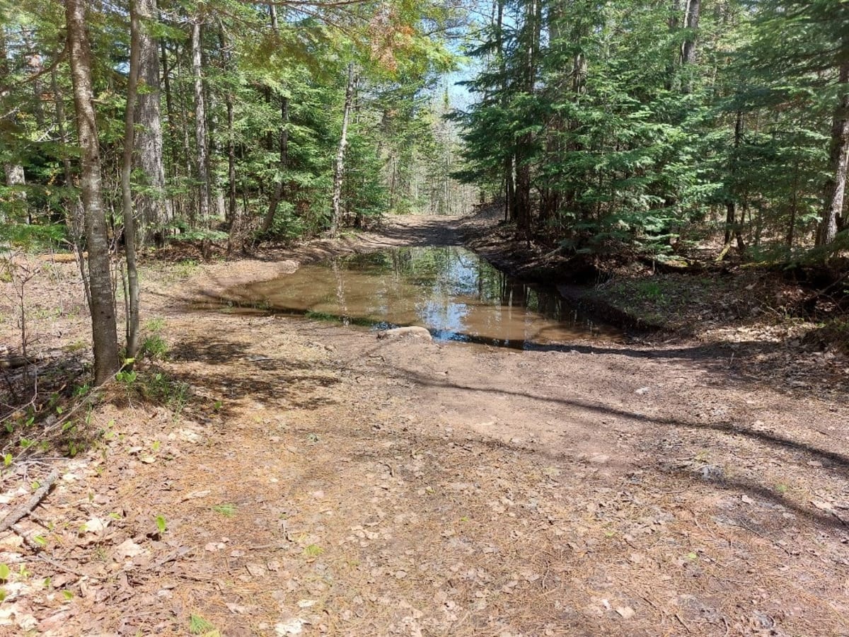 Soggy Bottoms trail photo