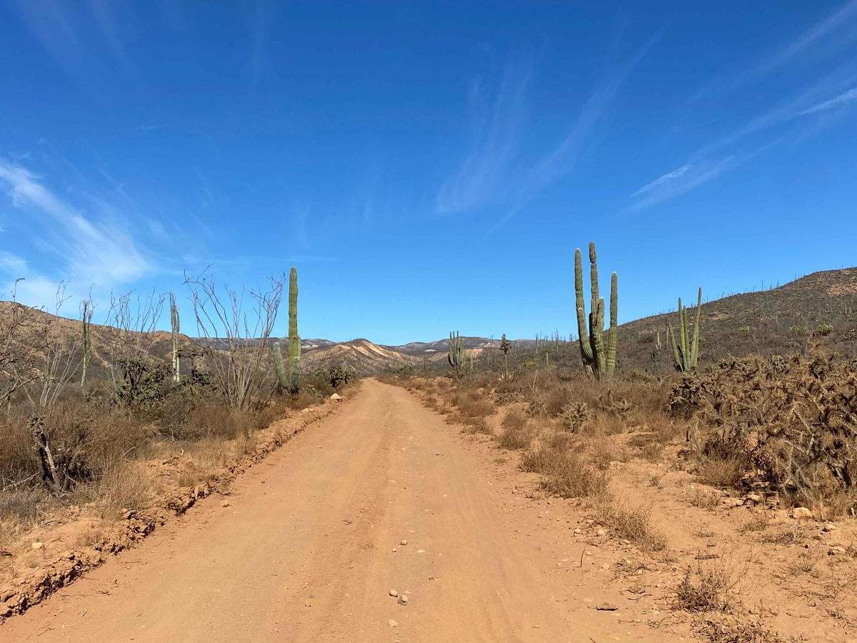 San Quintin Connection trail photo