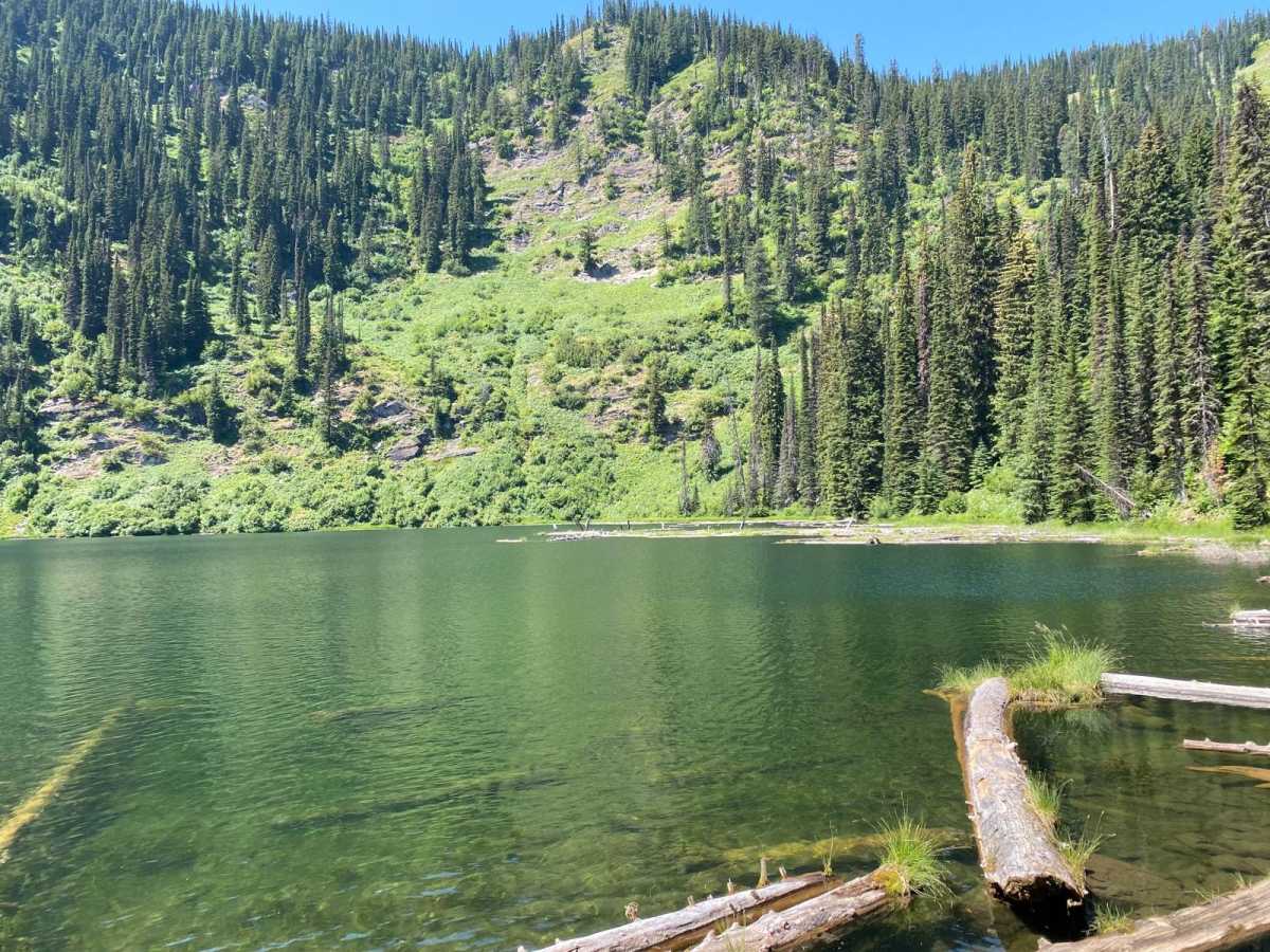 Moore Lake-St.Regis trail photo