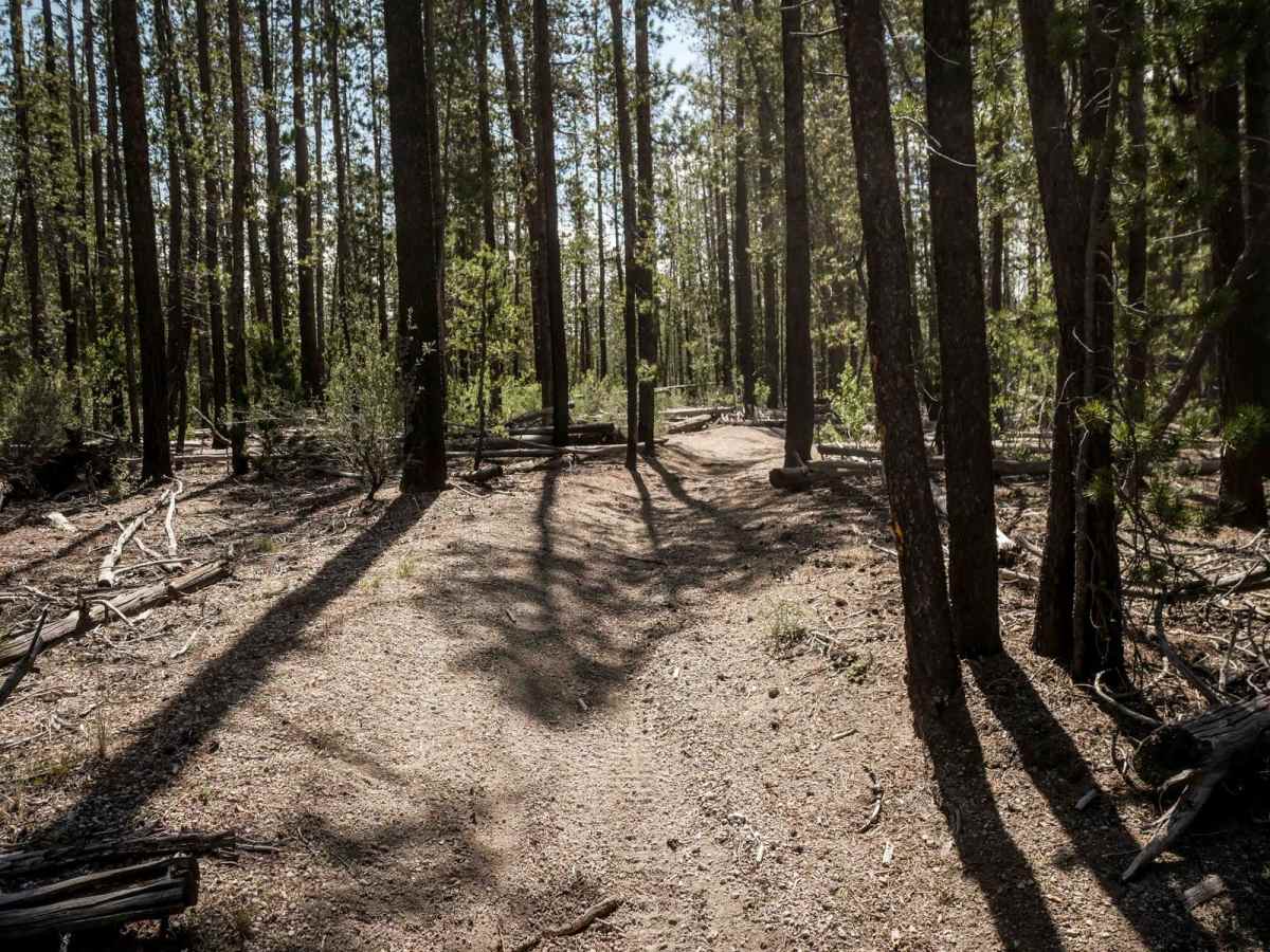 76 trail photo