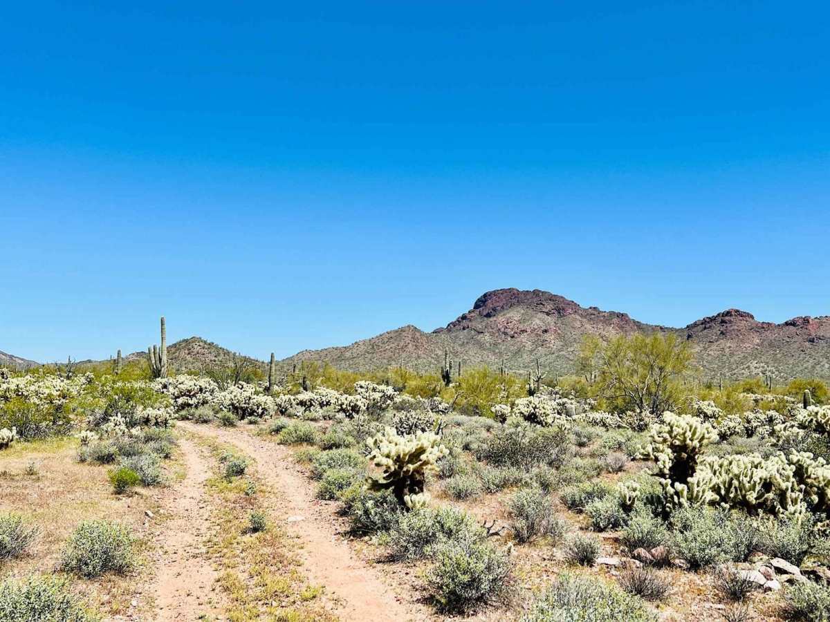 BLM 9065 trail photo
