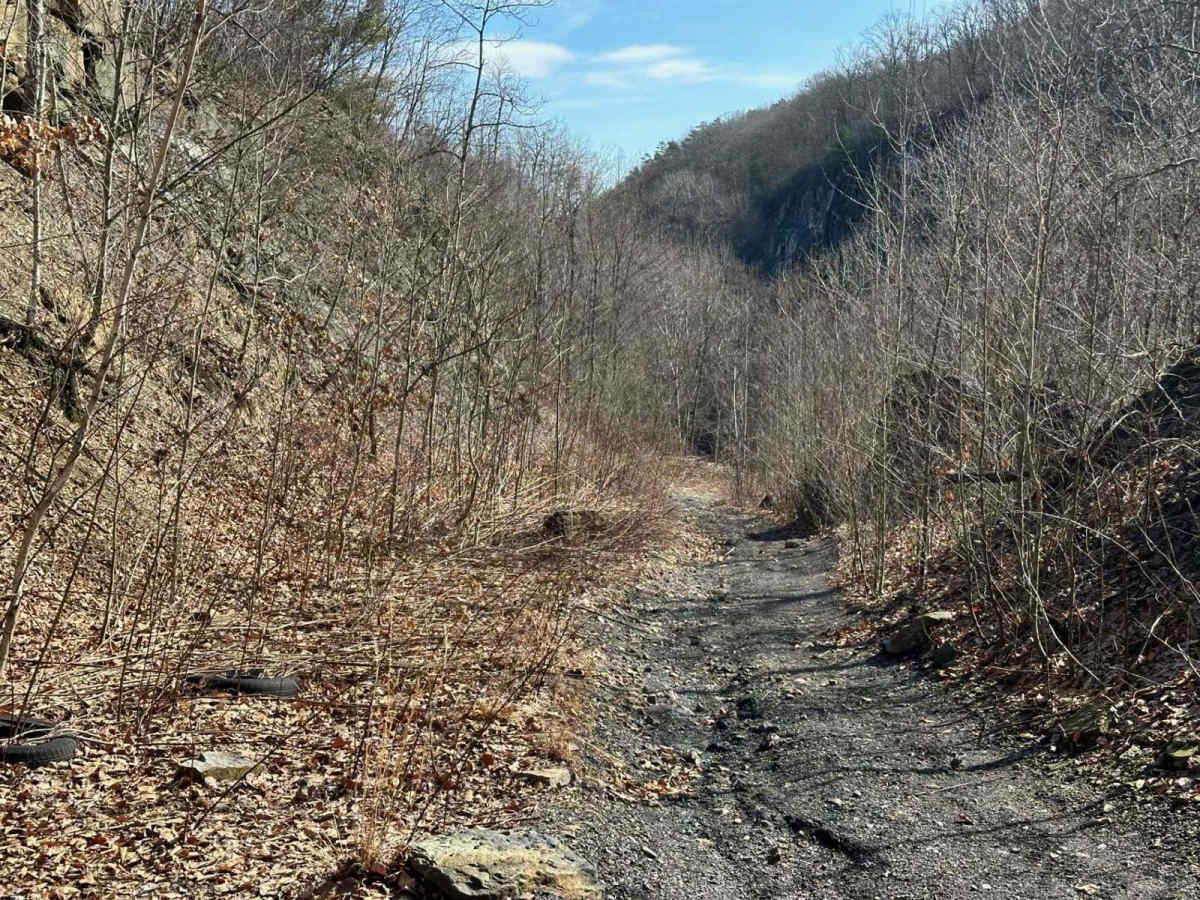 Locust Gap 37 photo 5