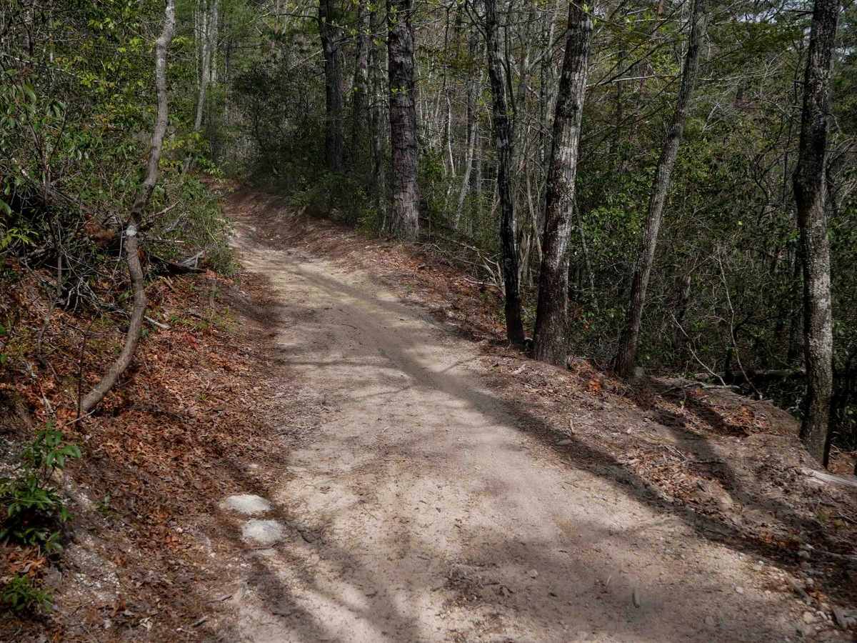 Trail 10 photo 6