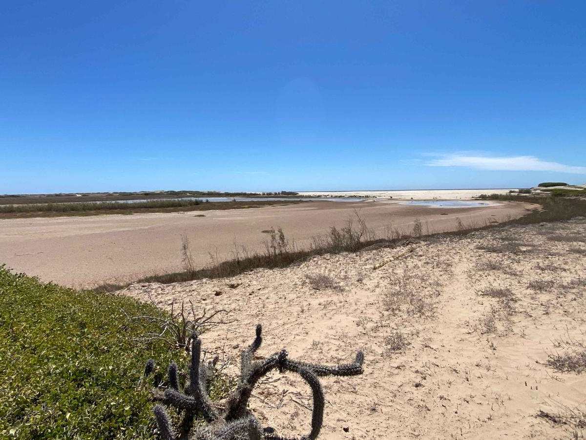 Rancho Progresso Coastal photo 5