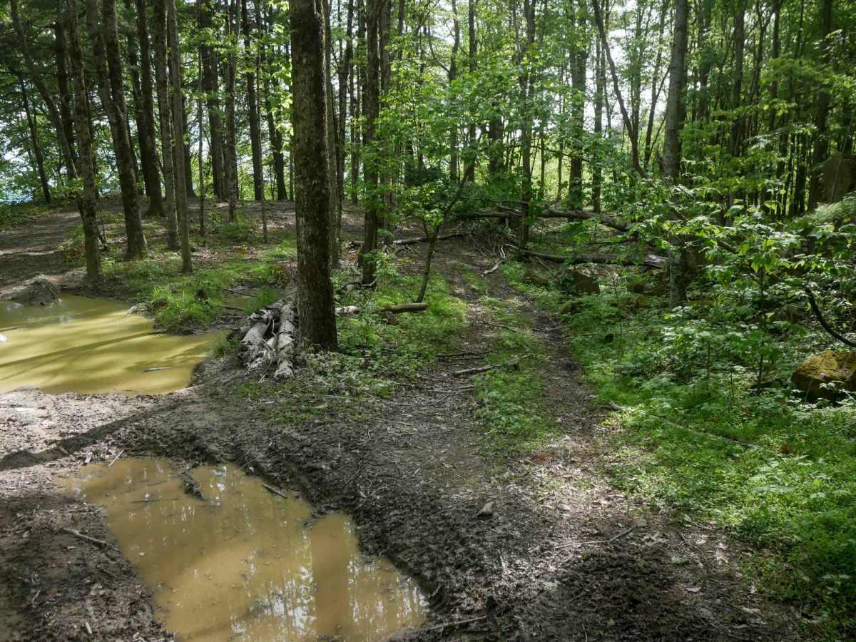 MV16 trail photo