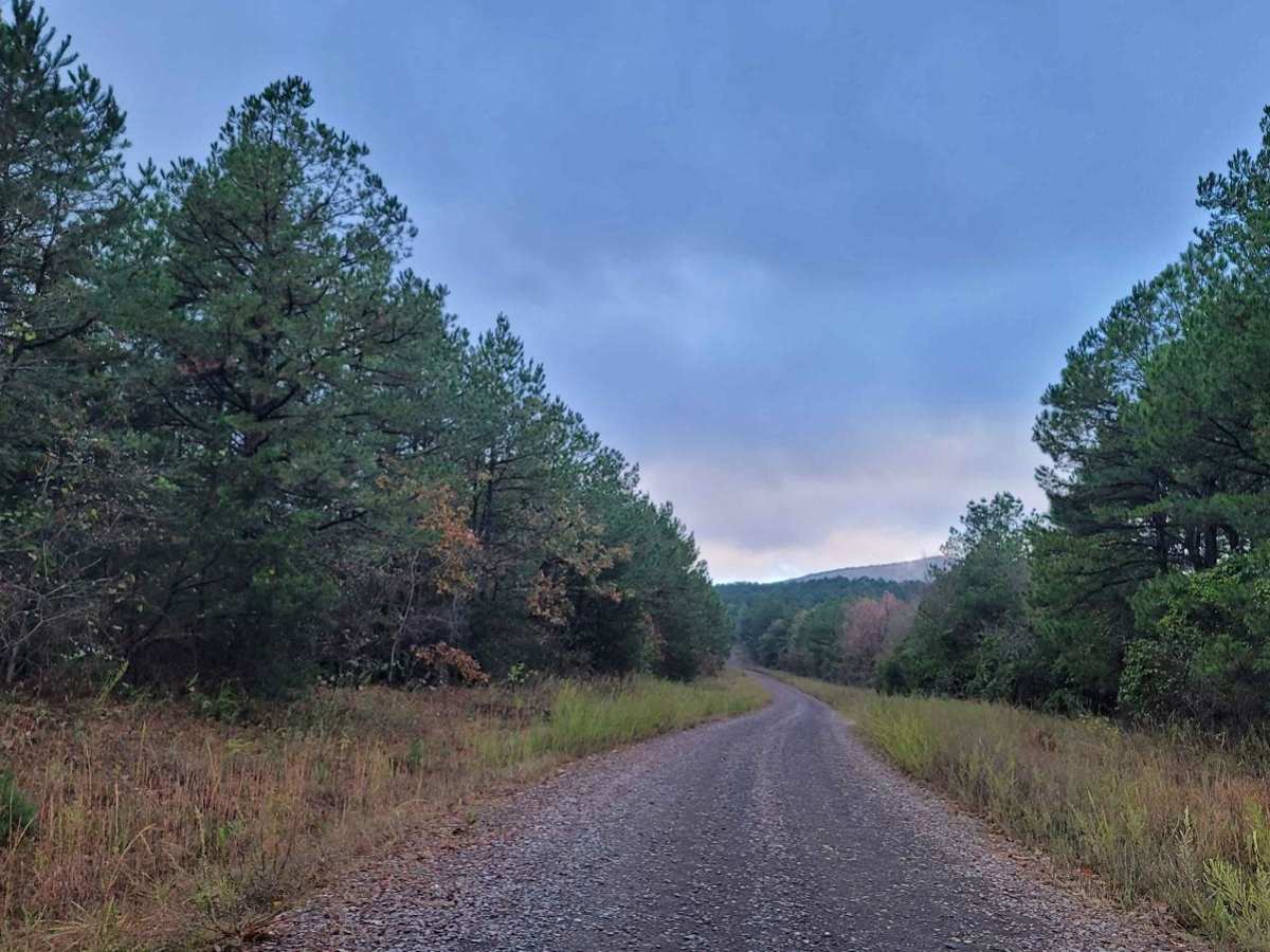 East Poteau Mountain photo 5
