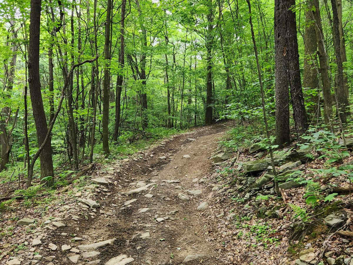 Trail 3H - Rock Run Recreation Area photo 4