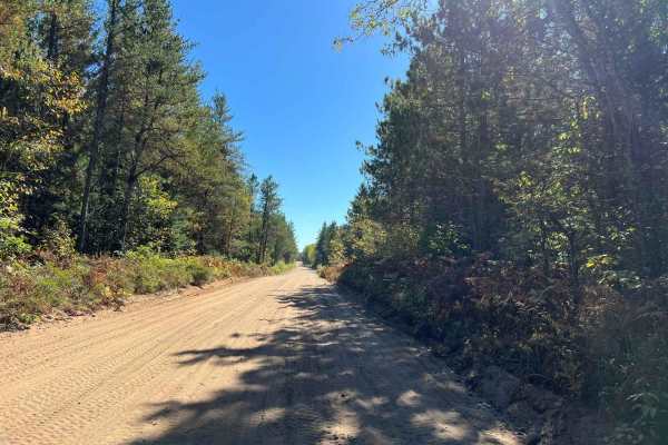 Trail G - Forest Road 208