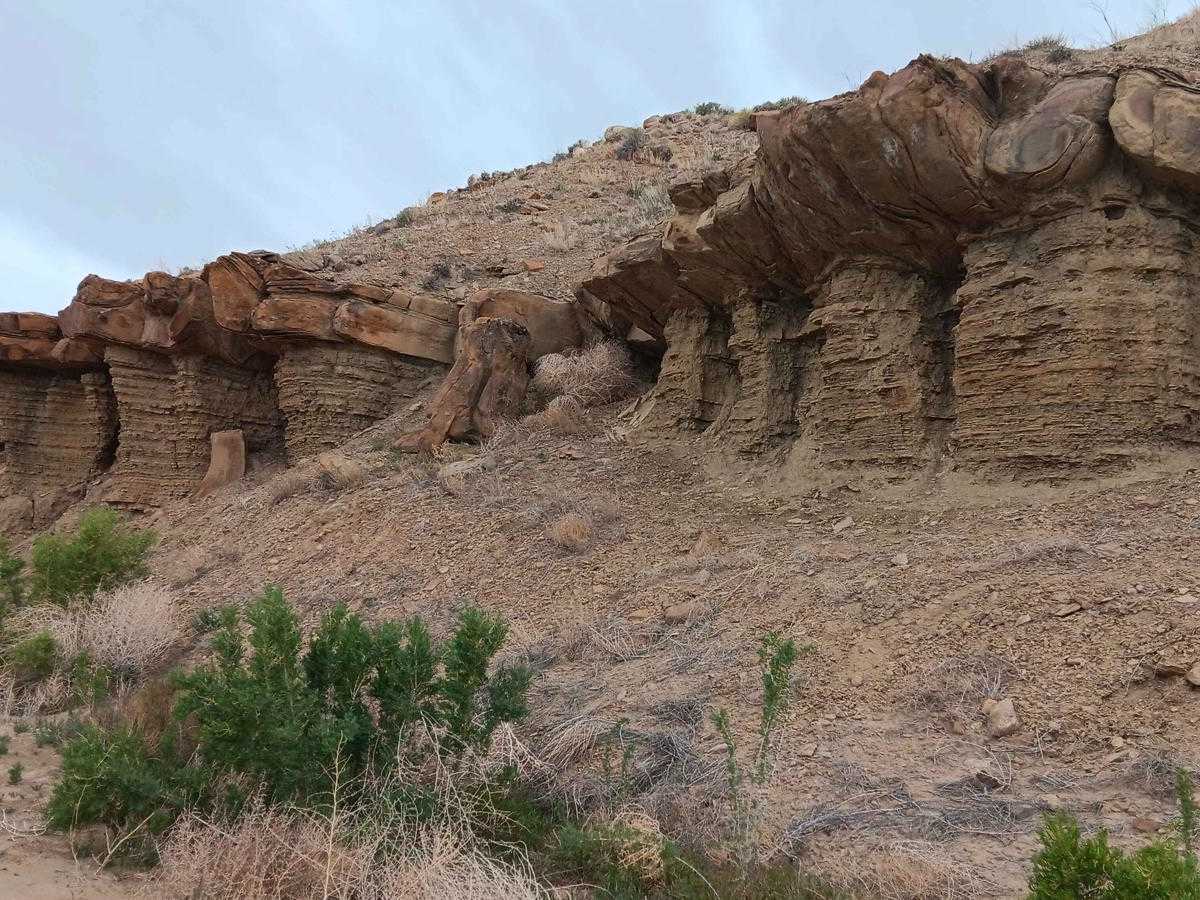 Down Floy Canyon Road photo 5