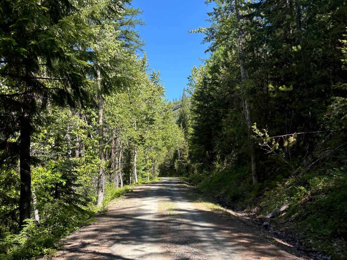 Summit Springs/Cripple Horse trail photo