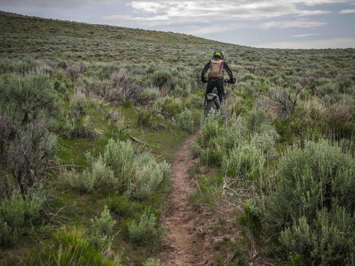 Snake Skin trail photo