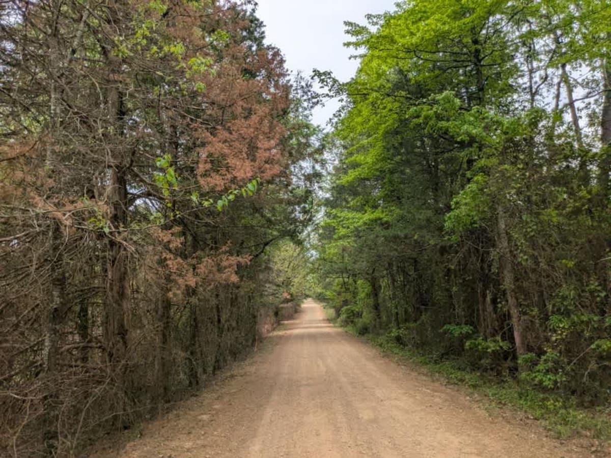 Eickleberry Road photo 2