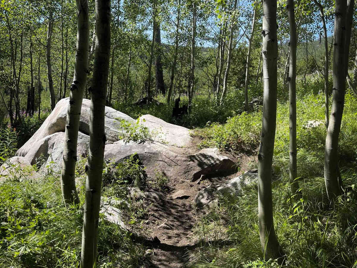 Arm Pump trail photo