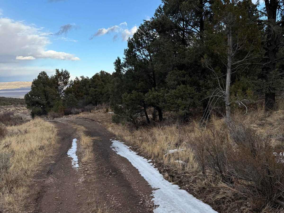 Patterson Pass Loop photo 3
