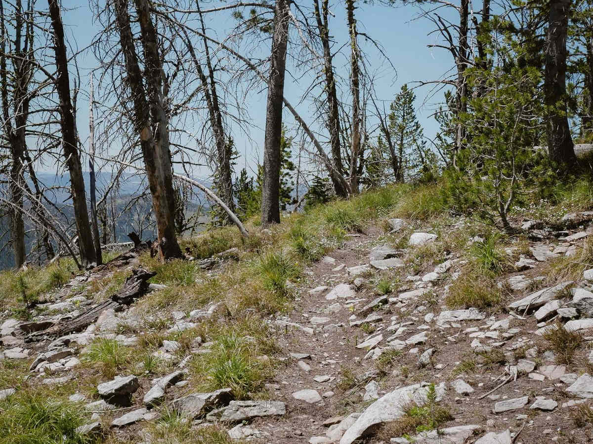 Divide NRT (Ax Park to Butcher Knife) trail photo