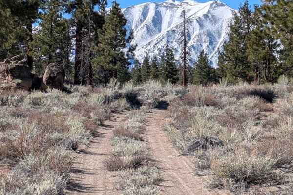 Round Mountain Turnoff - FS 3S54