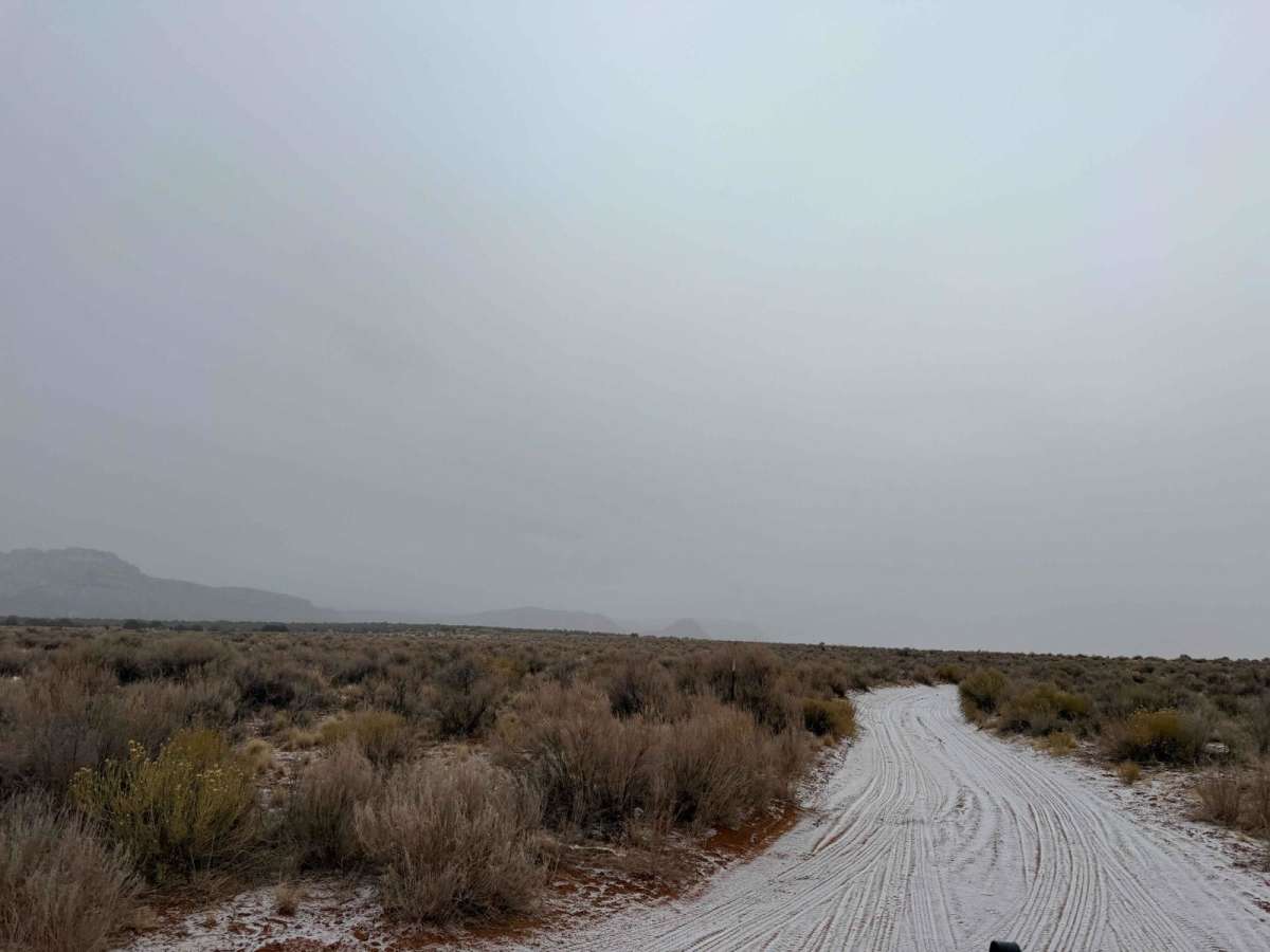BLM M0000-M4186 photo 2