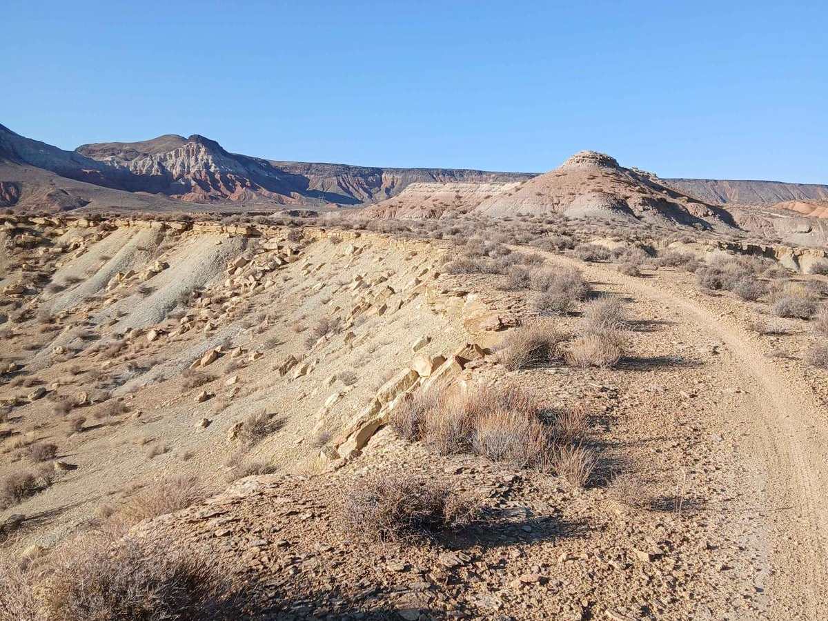 Mini Canyon Tracer photo 3