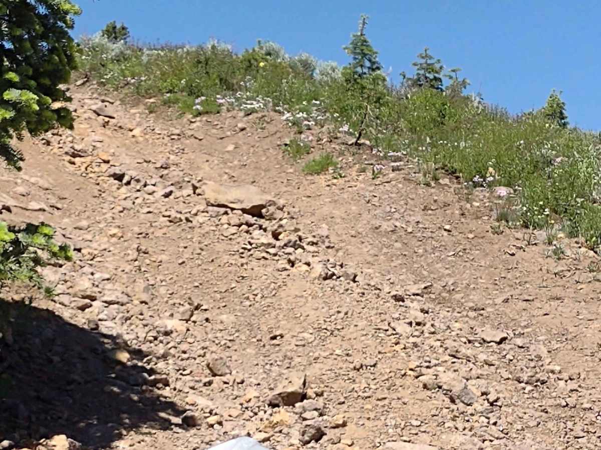 Gold Gulch Loop (FS# 41082) photo 3