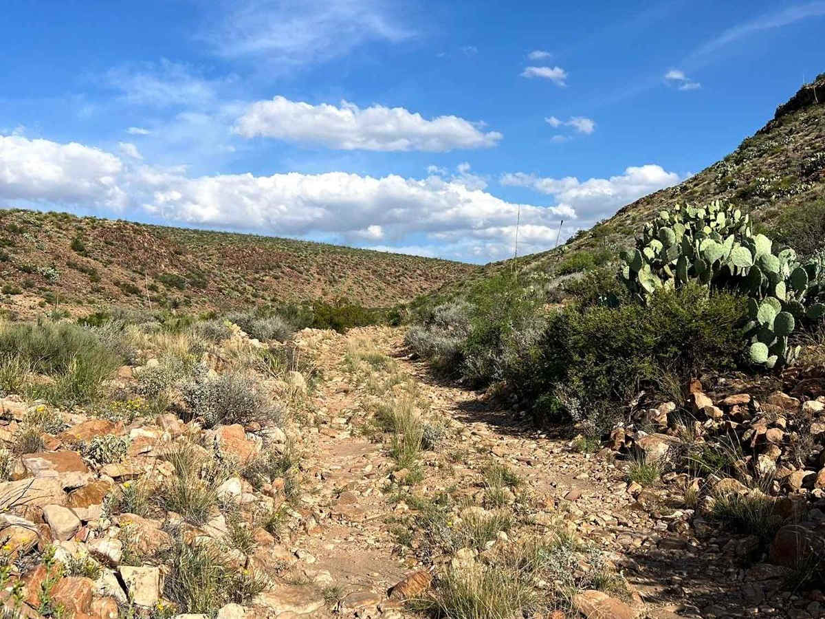 Paint Gap Road photo 4