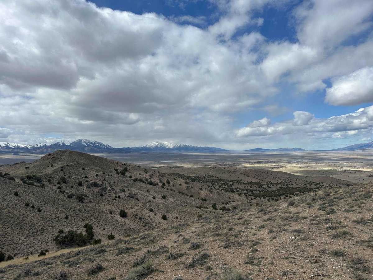 Desert Serenity photo 5