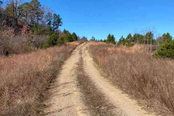 Bee Ridge FSR 3844/3844C