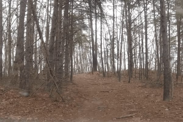 Big Branch Hill