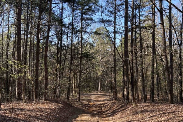 Wilderness Trail