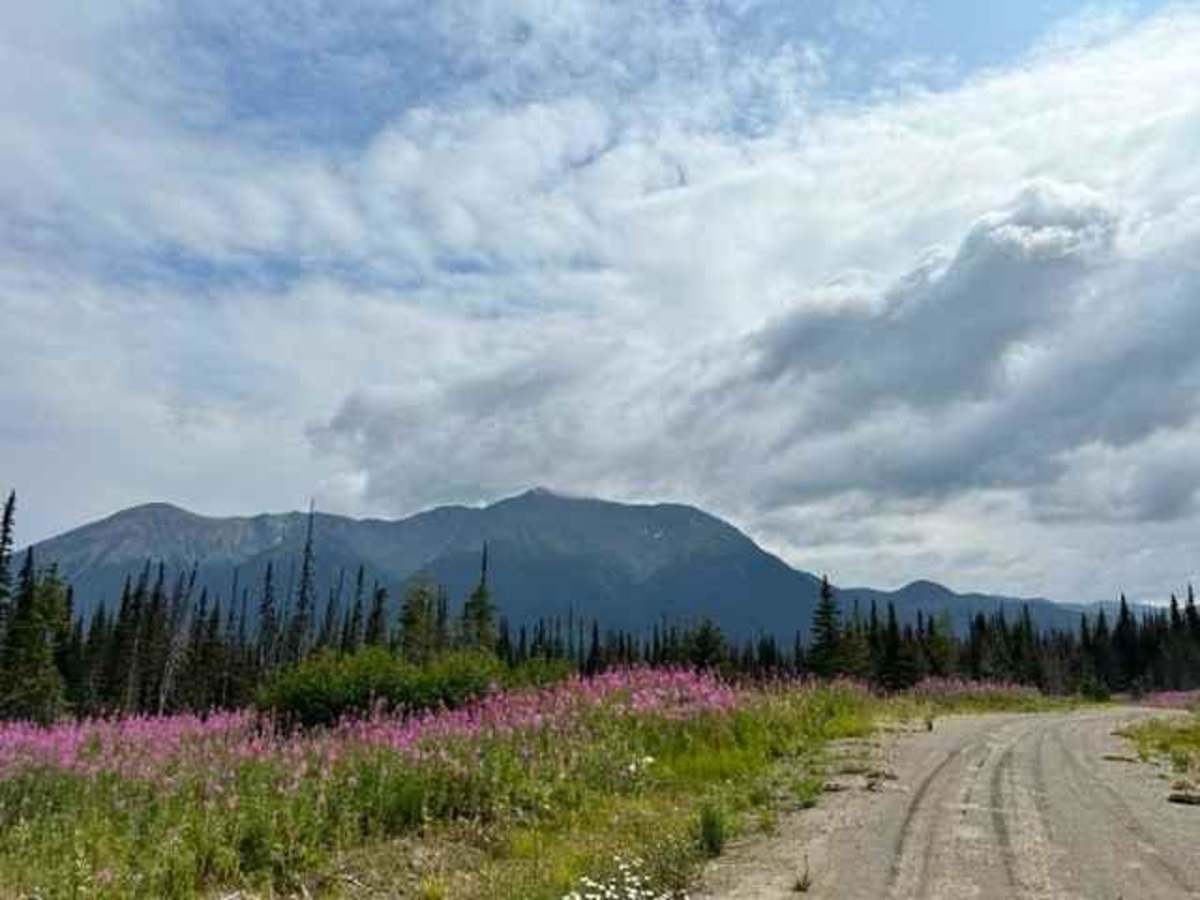 Grower Road trail photo
