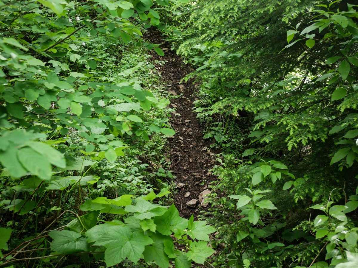 Mowat Creek photo 2