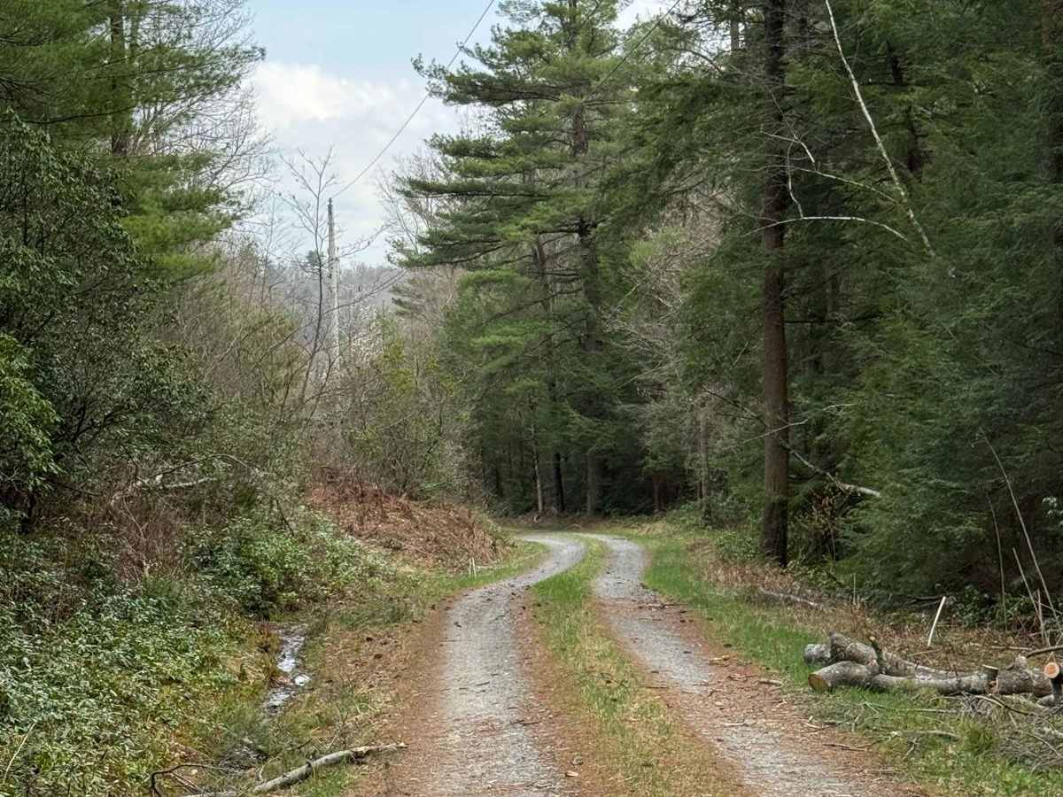 Little Boyer Road photo 5
