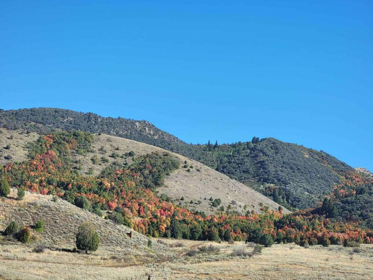 Three Mile Canyon Trail photo 4