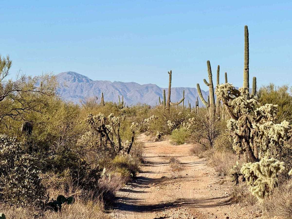 Crescent Trail trail photo