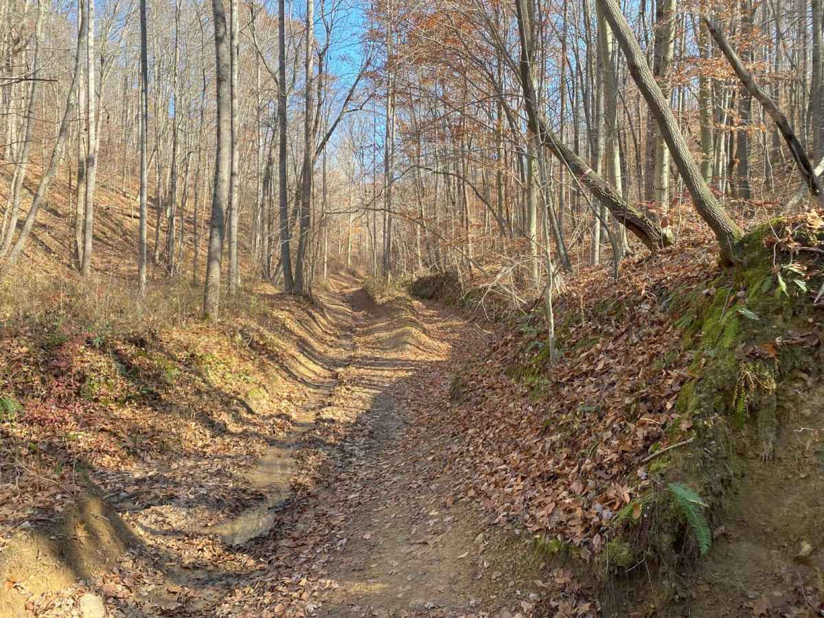 Blue Creek Road - Tar Hollow Trails photo 4