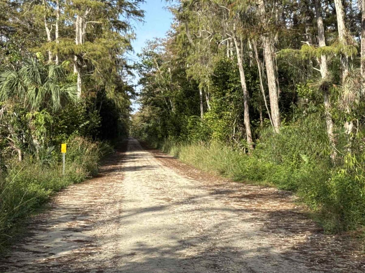 Loop Road - CR 94 trail photo
